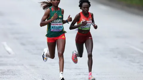 米乐YY易游体育